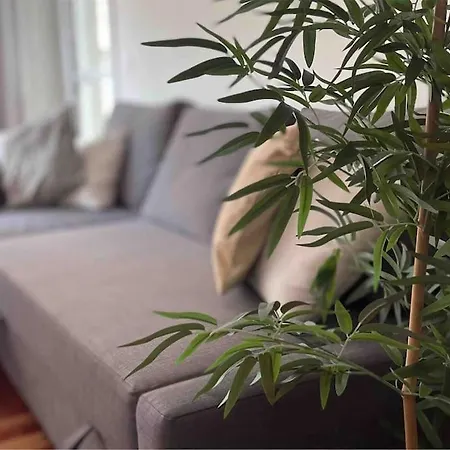 דירה Precioso Apartamento Centrico En ויגו